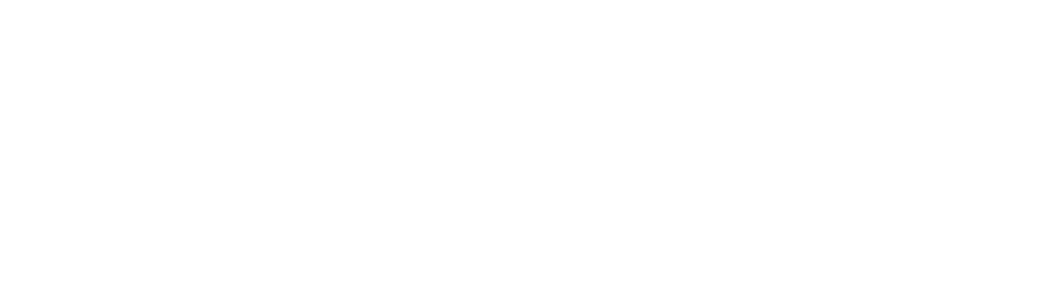 WPforge 